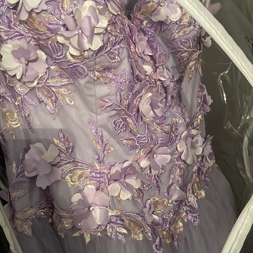 Stunning Lilac Quinceanera/ Prom Dress - Picture 5 of 8